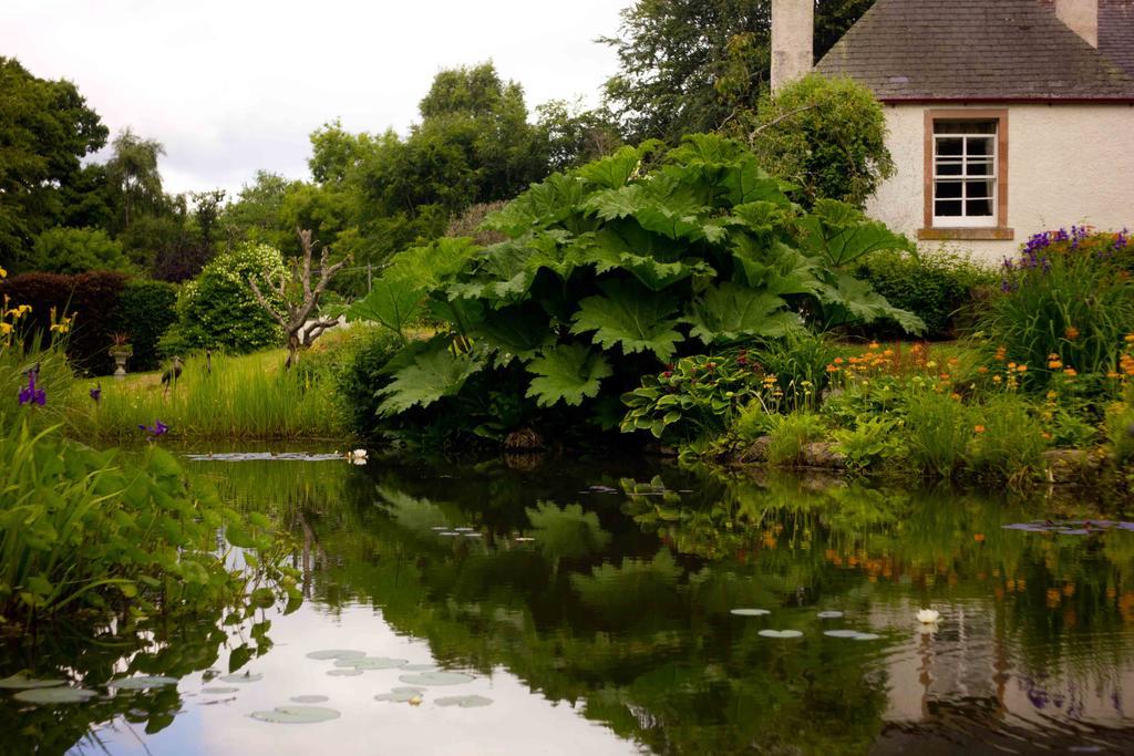 The Dower House Otel Muir of Ord Oda fotoğraf